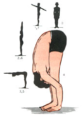Pada Hastasana (Forward - Bend posture)
