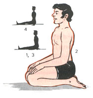Vajrasana(The Ankle posture)