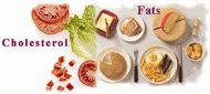 Understanding Fat and Cholesterol