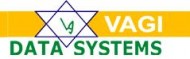 Vagi Data Systems