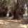 Cubbon Park (2 kms from MG Road)