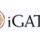 Igate Global Solutions Limited