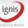 Ignis Technology Solutions Pvt Ltd