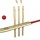 JP Nagar Cricket Academy