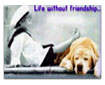 Life without friendship...