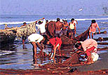 Fishermen in Candolim beach