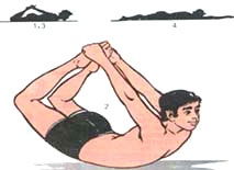 Dhanurasana (Bow Posture)