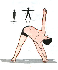 Parivrtta Trikonasana (Crossed Triangle posture)