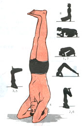 Sirsasana(Stand-on-Hand Posture)
