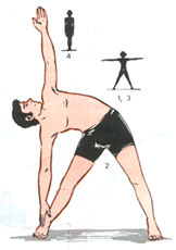 Trikonasana(Triangle position)